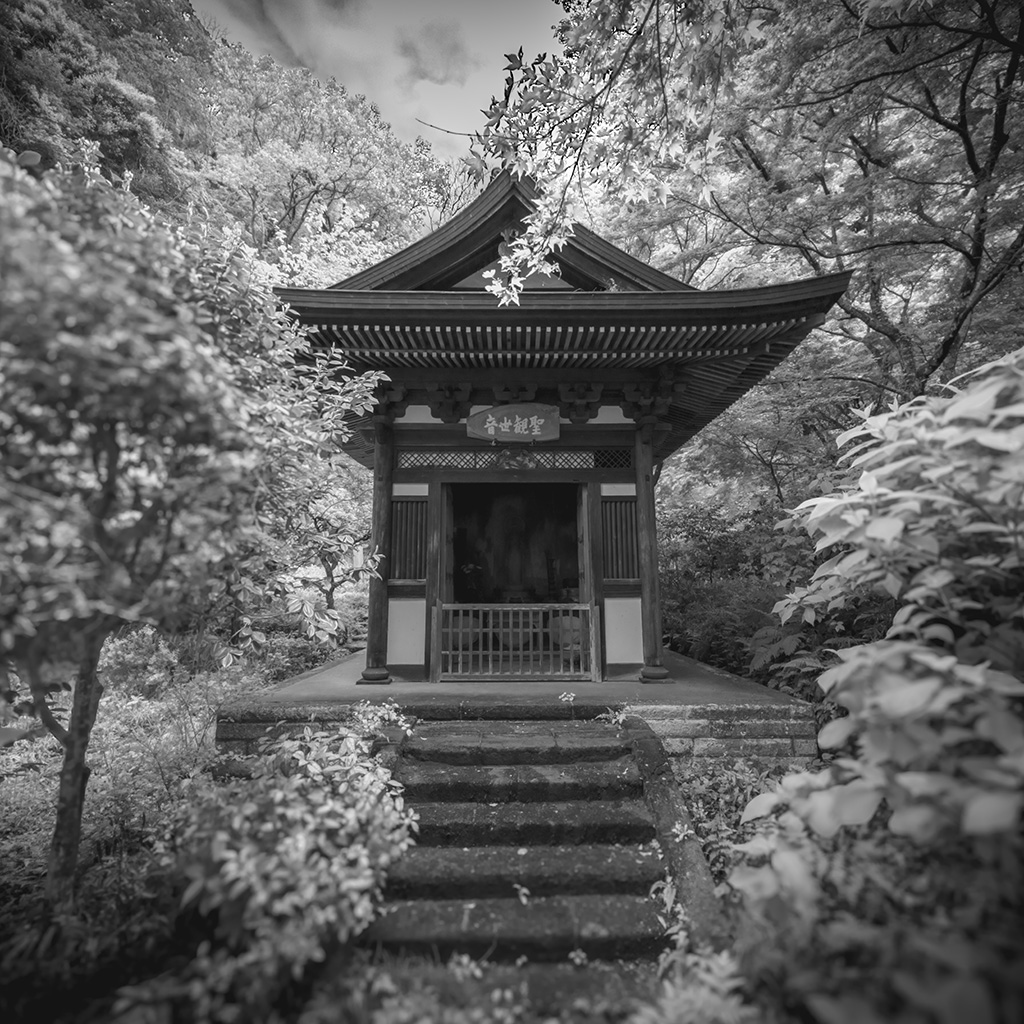 Engaku-ji, Kamakura (2025)