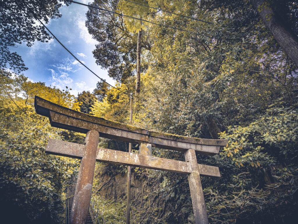 Engaku-ji, Kamakura (2025): torii of Bentendo