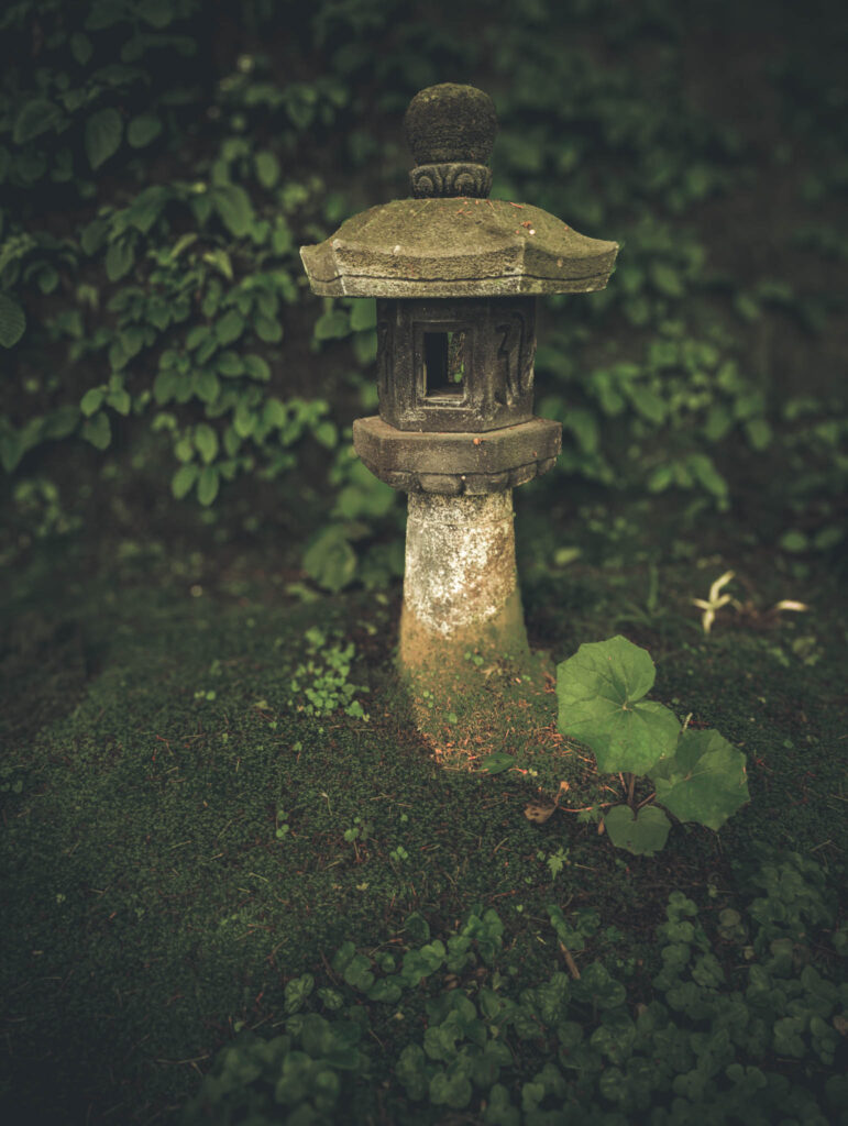 Hasadera, Kamakura (April 24, 2025): ishi-dōrō