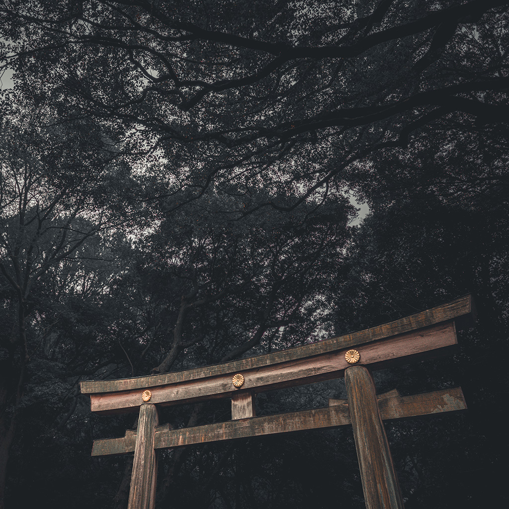Meiji Jingu, Tokyo (2025)