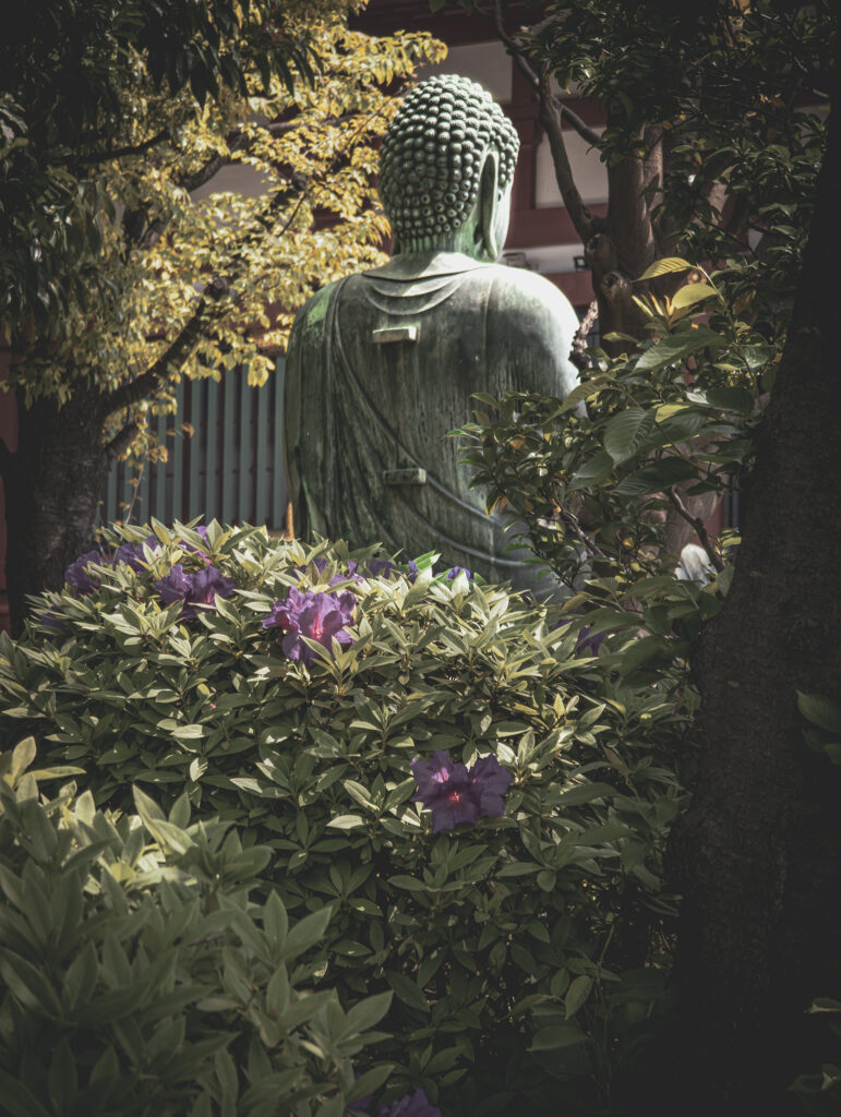 Sensō-ji, Asakusa (April 19, 2025), garden