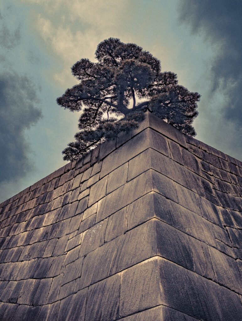 Kokyo Higashi Gyoen, Tokyo (2025) foundation for the tenshudai of Edo Castle, 1657