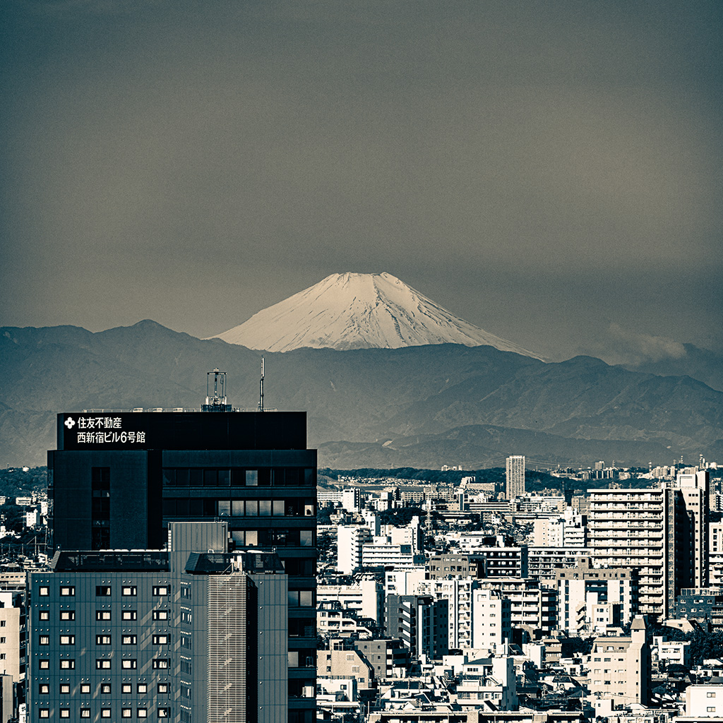 Hotel Window, Shinjuku (2025)