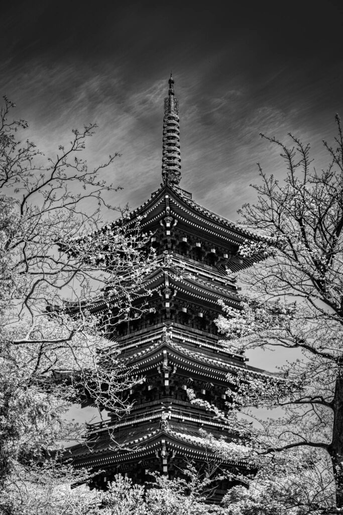 Ueno Toshogu, Tokyo (April 21, 2025) pagoda