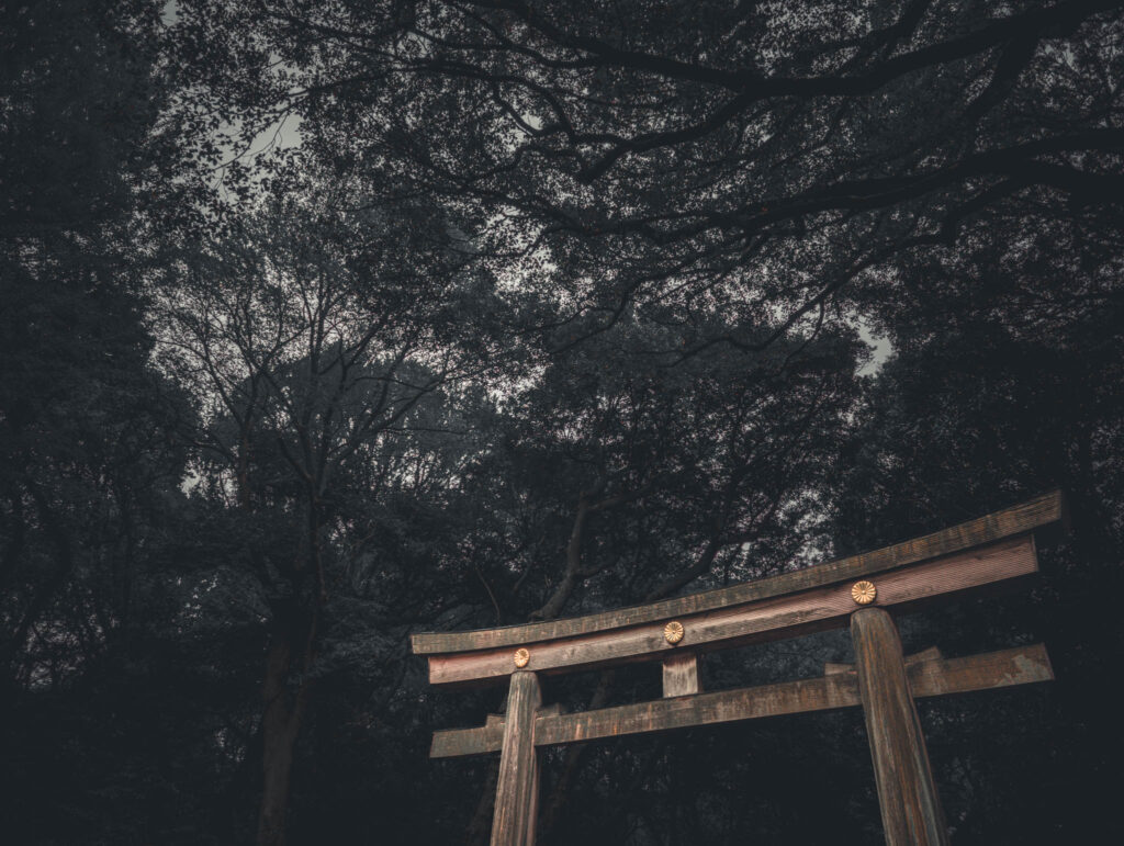Meiji Jingu, Tokyo (April 25, 2025): Kitasando Torii