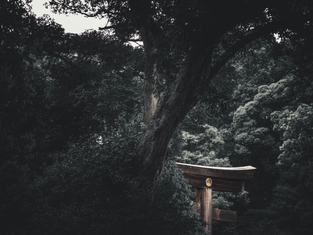 Meiji Jingu, Tokyo (April 25, 2025): Otorii grand shrine gate