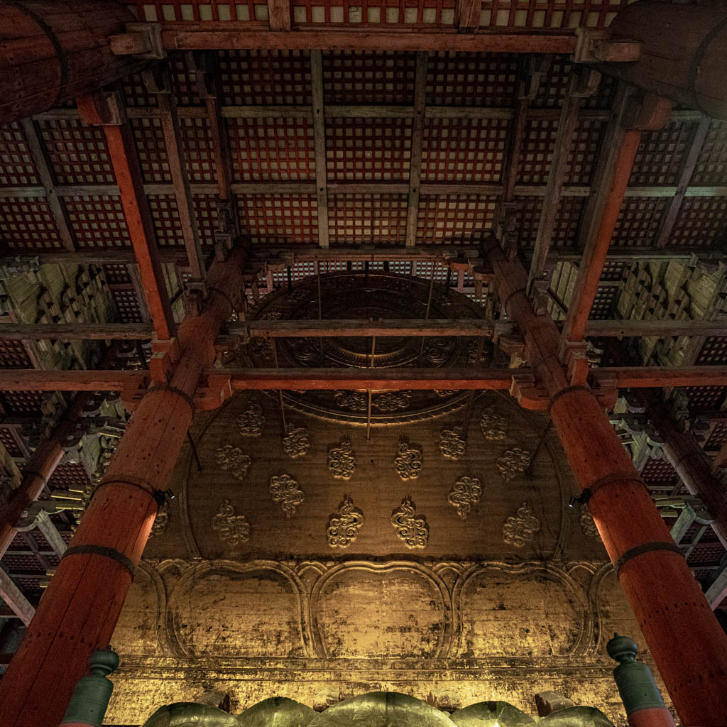 Todaiji Rainy Day (2025)
