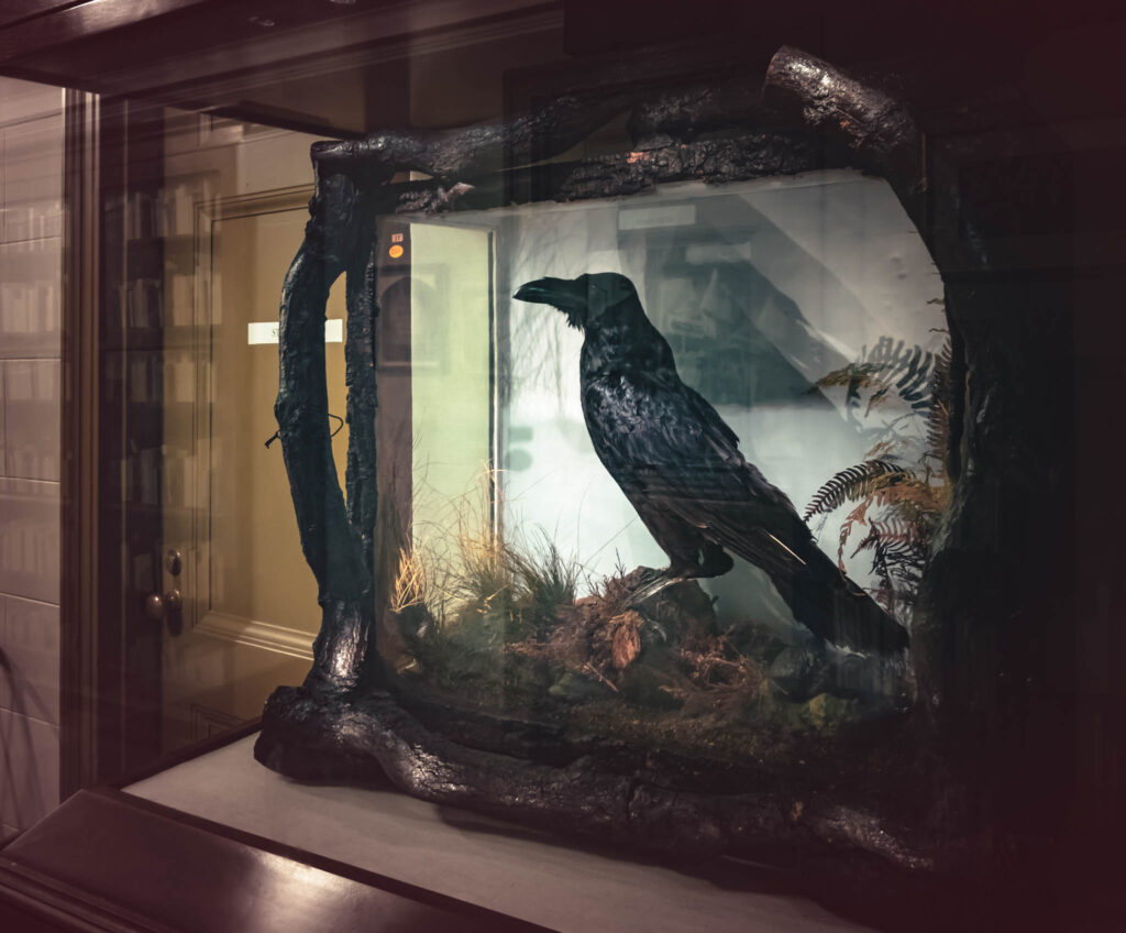 Rare Book Department, Parkway Central Library, Free Library of Philadelphia (photo July 26, 2019): Grip (c.1839-1841), pet raven of Charles John Huffam Dickens (1812-1870)