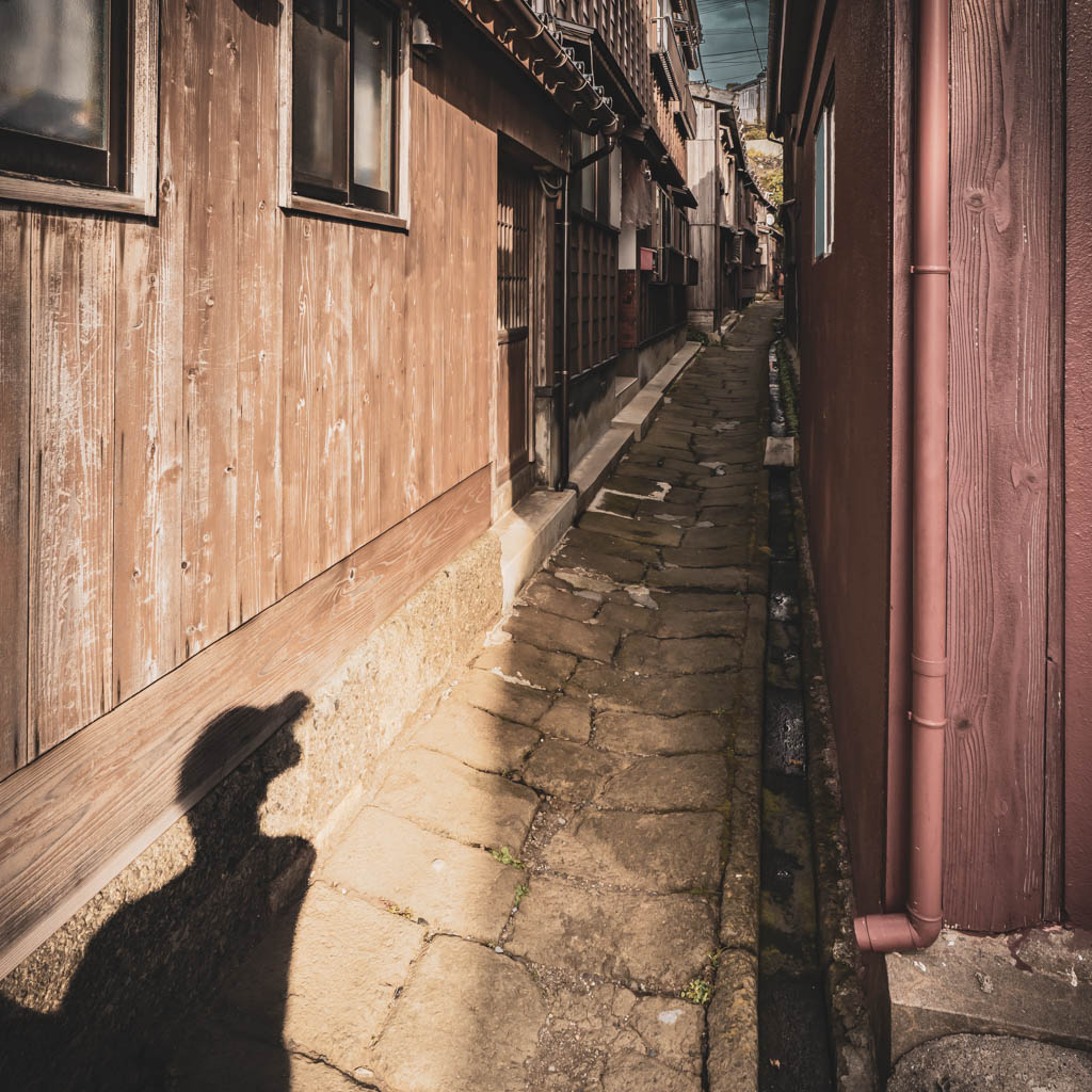 Mystery and Melancholy of a Street, Shukunegi (Sado 2025)