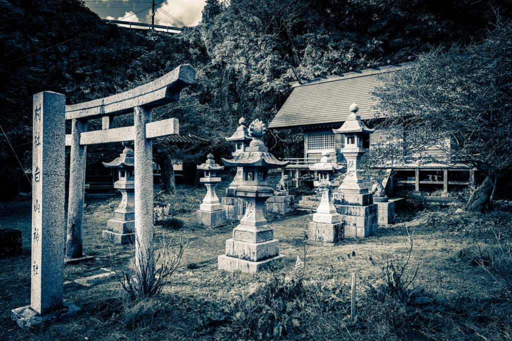Shukunegi, Sado Island (photo November 6, 2025): Hakusan Shrine.