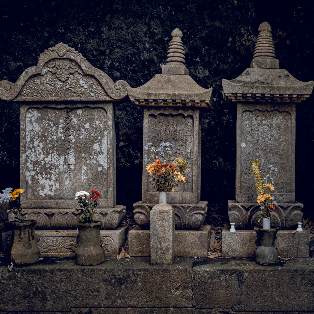 Lafcadio Hearn-Land (Shokoji, Shukunegi, Sado Island 2025)