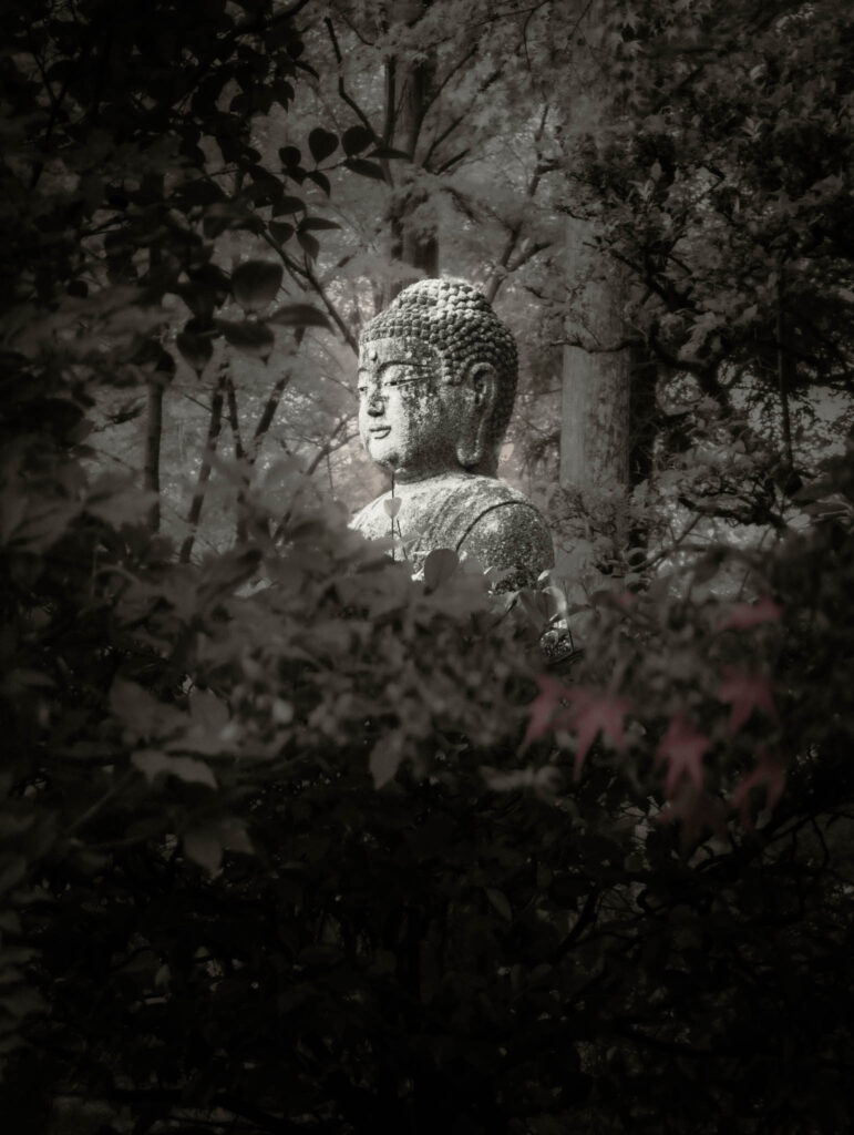 Ryōan-ji "Peaceful Dragon Temple", Kyoto (photo November 10, 2025).