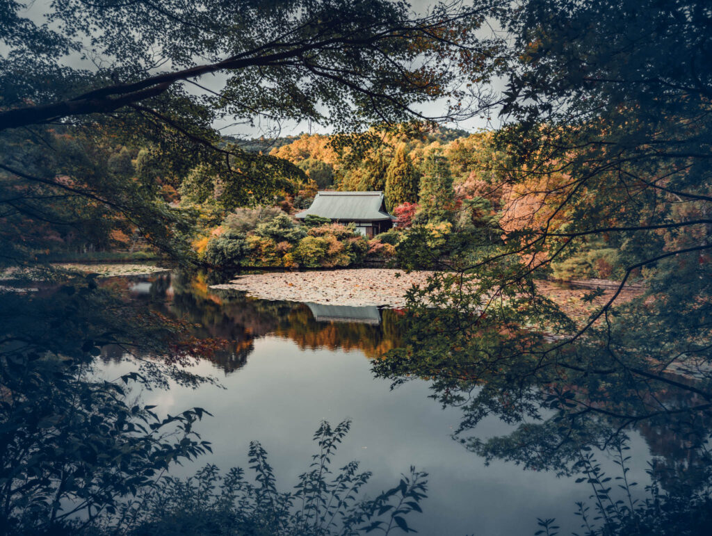 Ryōan-ji "Peaceful Dragon Temple", Kyoto (photo November 10, 2025): 水分石 Suibunseki ("Waterstone") stroll garden.