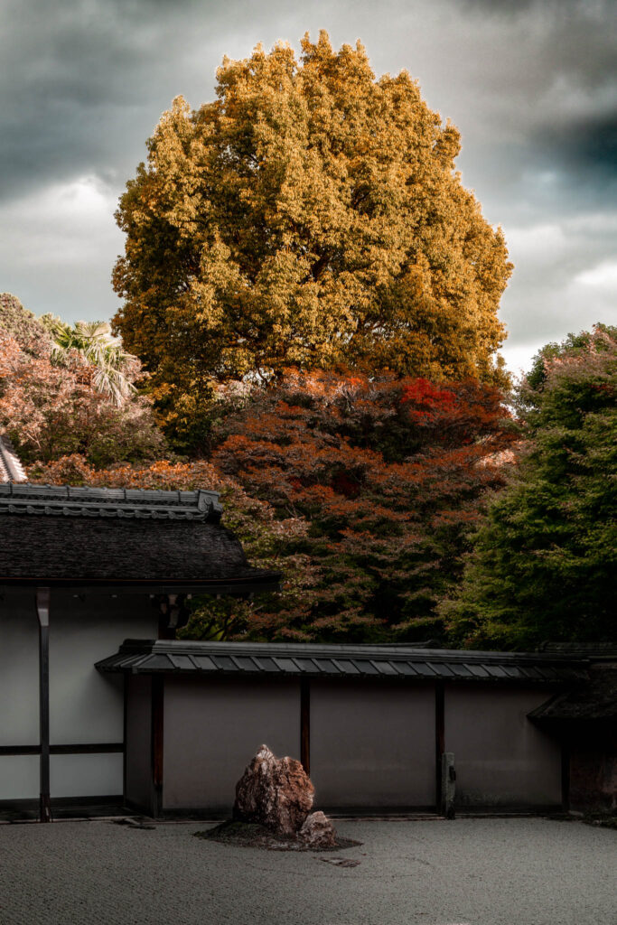 Hojo Teien karesansui rock garden, Ryōan-ji "Peaceful Dragon Temple", Kyoto (photo November 10, 2025): original design by painter Sōami (d.1525), current form late 18th C. by painter Akisato Rito (d. 1830) and/or "Kotaro" and "Hikojiro" sensui kawaramono (low-status riverbank workers).