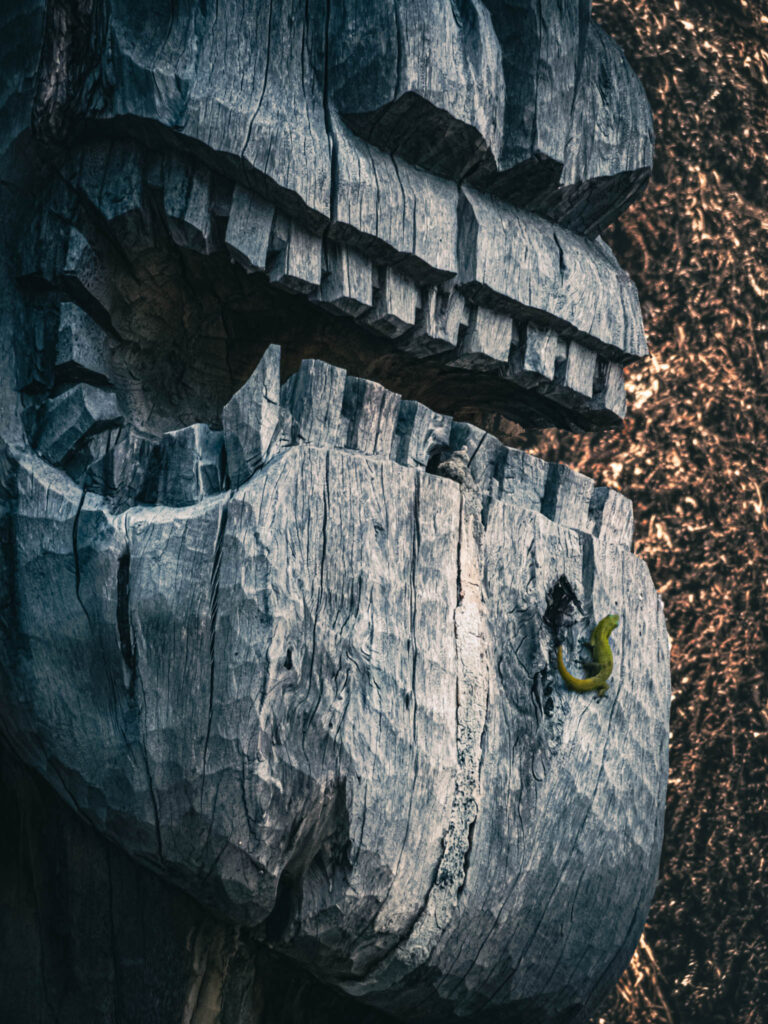 Puʻuhonua o Hōnaunau National Historical Park, Hōnaunau, Hawai'i (photo August 21, 2021): recreated ki'i (divinity statue) with lizard against Hale o Keawe (thatched mortuary temple built by or for ruler Keawe-i-kekahi-aliʻi-o-ka-moku c.1700, last restored 2004).