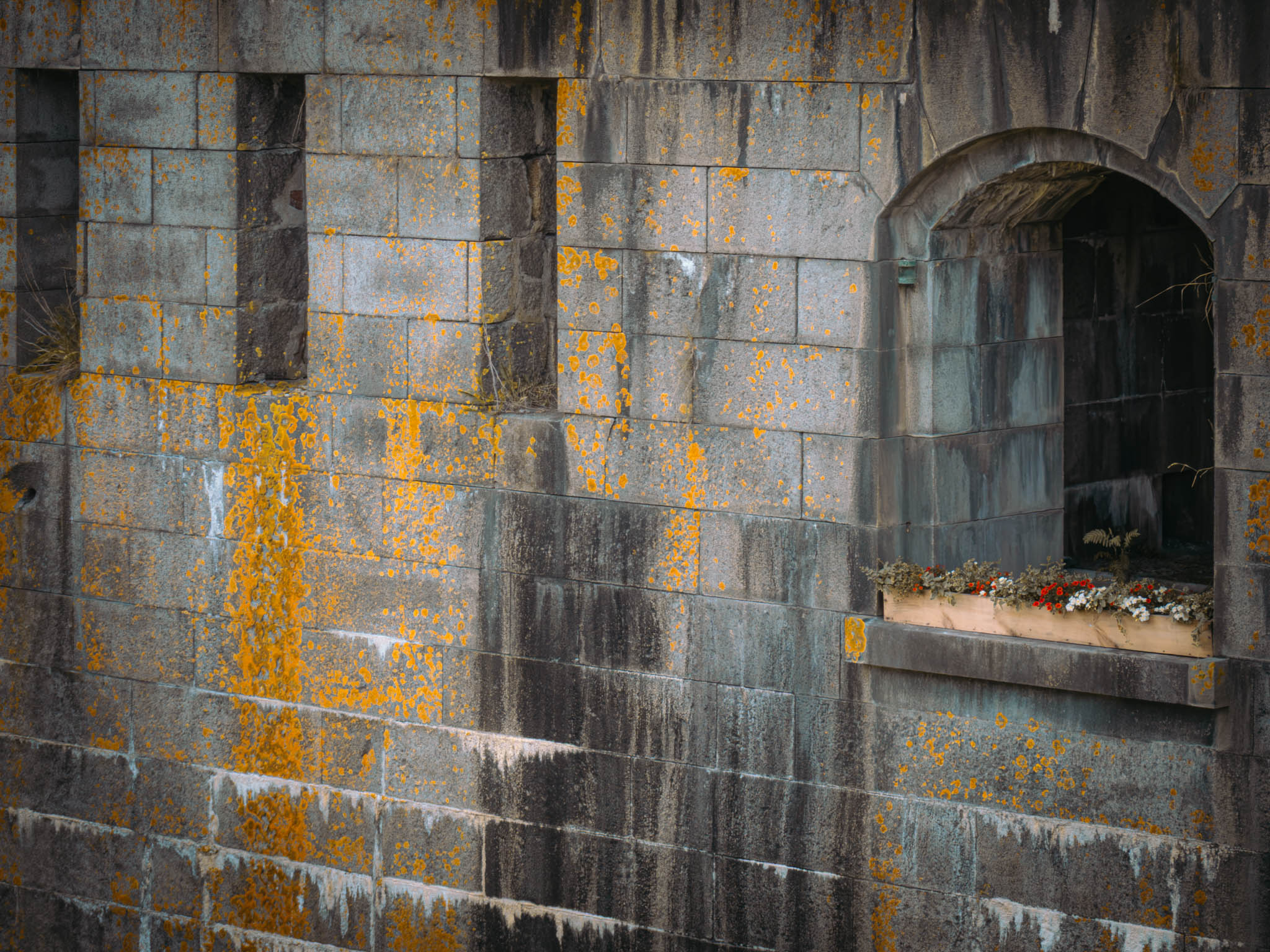 Fort Warren, Georges Island (photo June 19, 2026) Front II enceinte facing dry moat, 1850s.