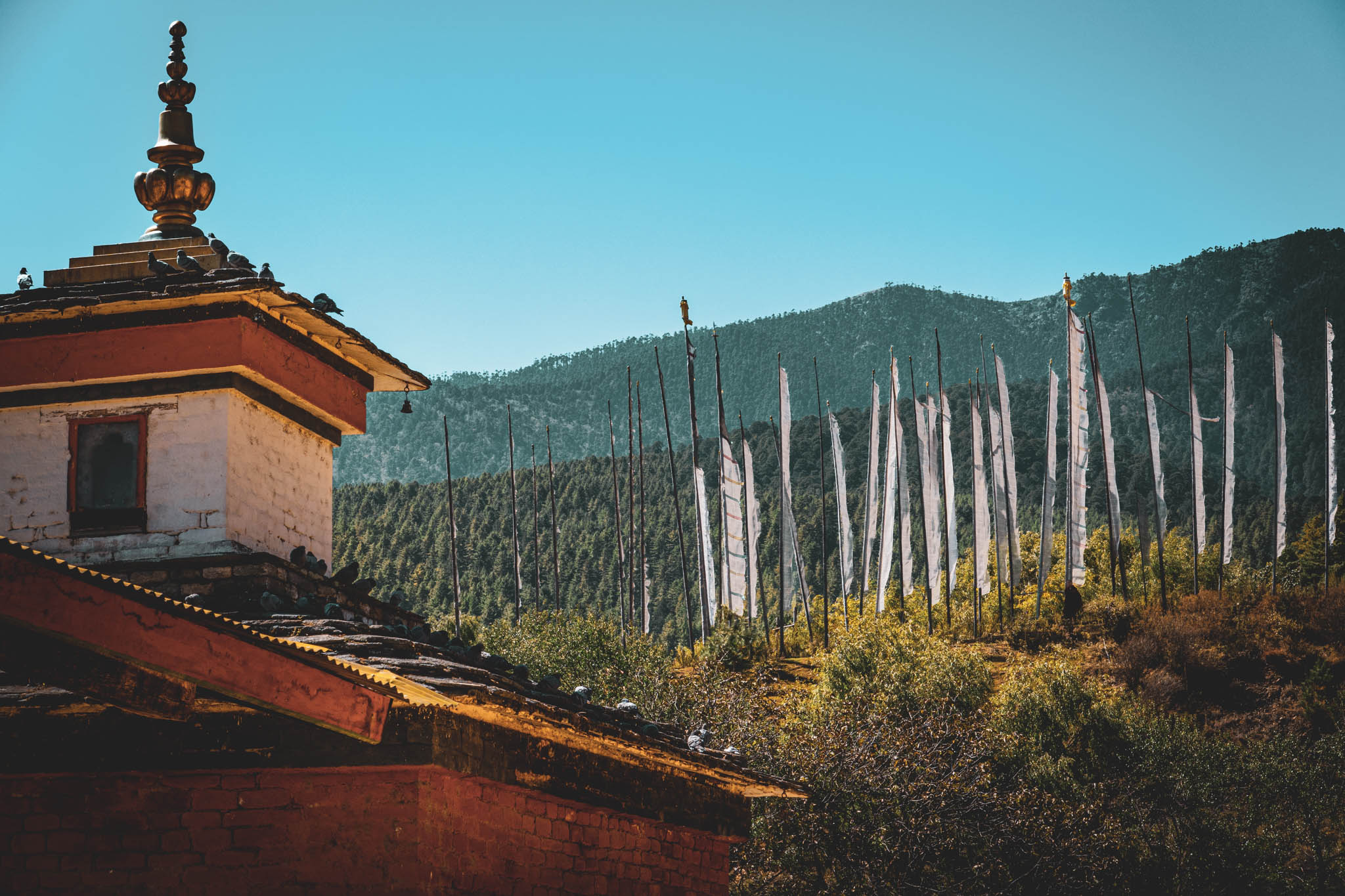 Jambay Lhakhang, Bumthang Valley, Bhutan, orig. 659 AD (photo Oct. 26, 2018) northwest "chorten" roof and "darchog" vertical prayer flags beyond.