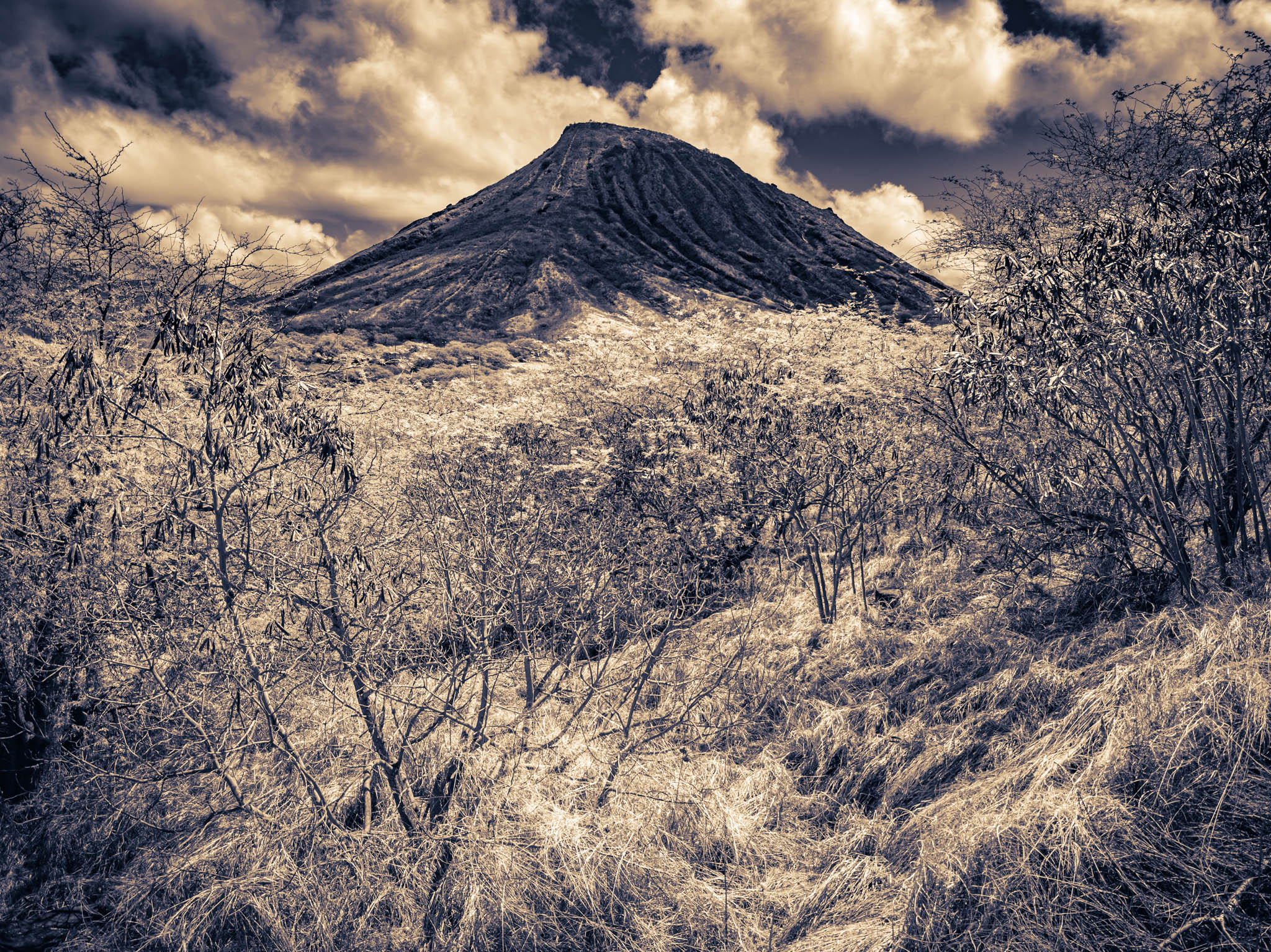 Koko Crater, Oahu Island (photo 15 August 2021), from Hawai'i Kai Lookout, Kalanianaʻole Highway.